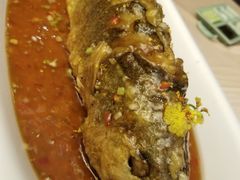 -唐廊烤鸭店(工体店)