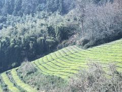 -敬亭山风景名胜区