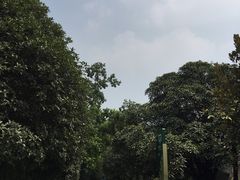 -环城公园-琥珀潭