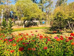 -永定河休闲森林公园