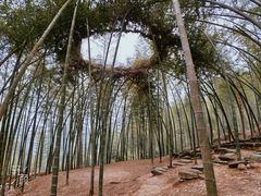-杨家堂村