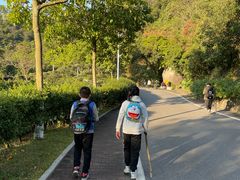 -火炉山森林公园