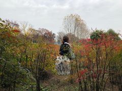 -白塘生态植物园