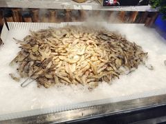 -圣罗巴海鲜烤肉自助(佳兆业店)