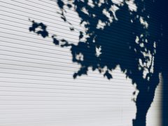 -VESH COFFEE(定西路店)