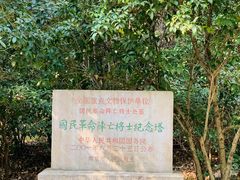 -灵谷景区