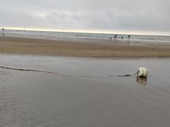 -南澳海滩