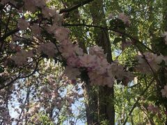 -大兴滨河森林公园