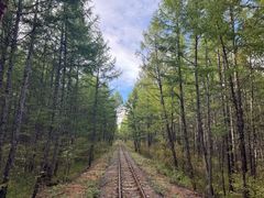 -莫尔道嘎国家森林公园