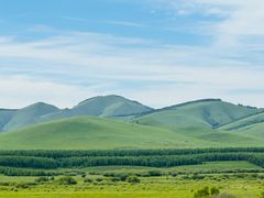 -塞罕坝国家级自然保护区