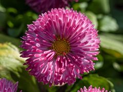 -上海吴淞炮台湾国家湿地公园