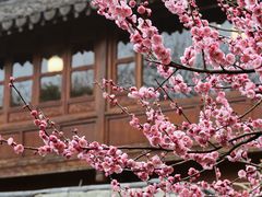 -郭庄景区