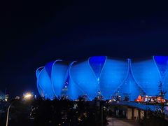 -杭州奥体中心-体育场