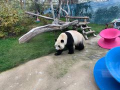 -鄂尔多斯野生动物园