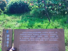 -枫香湖儿童公园