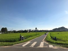 -光明小镇欢乐田园