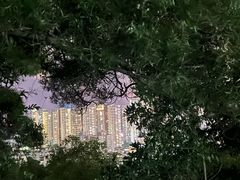 -板樟山森林公园