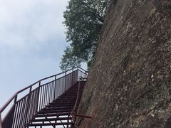-陕西省红河谷森林公园