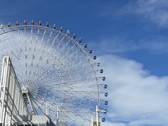 -大阪海游馆