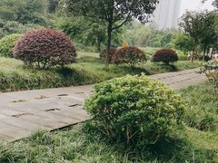 -重庆彩云湖湿地公园