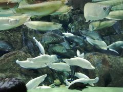 -成都浩海立方海洋公园