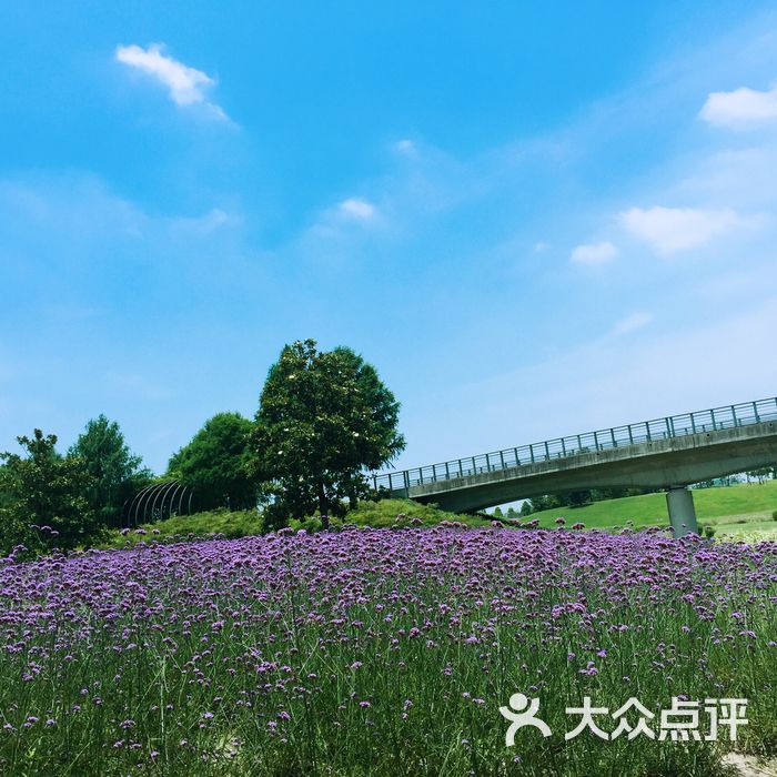 上海辰山植物園