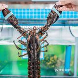 替你们找到人均100的宝藏海鲜餐厅