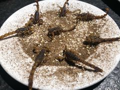 炸蝎子-买又大餐厅(福林里店)