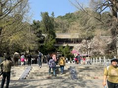-潭柘寺景区