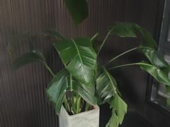 -阿伟海鲜楼·福建菜(涵江店)