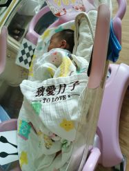 -生命加•Q考拉月子会所(玫瑰园店)