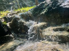 -井塘古村