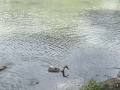 -鹿亭中村