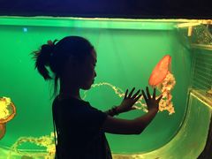 -华夏文旅西安度假区