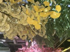 -城墙拐拐火锅(三峡广场黑金冠店)
