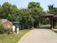 -鹅湖玫瑰文化园