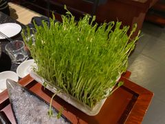 -捞王猪肚鸡火锅(昆山店)