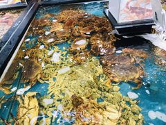 俄罗斯帝王蟹-盒马鲜生(皇庭广场店)