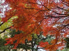 -西安市纺织公园