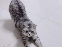 -美联众合动物医院·24h京西诊疗中心