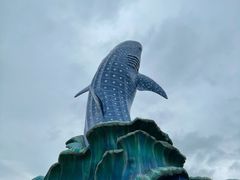 -珠海长隆海洋王国
