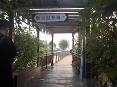 -卧龙湖