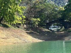 -广州市流溪河国家森林公园