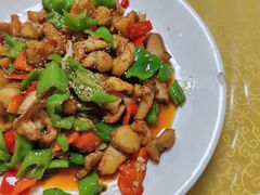 -煲来饱去冷水鱼