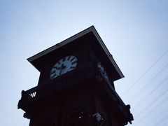 -永定河休闲森林公园