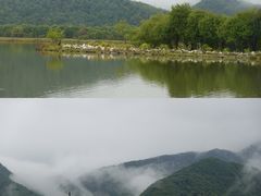 -大九湖