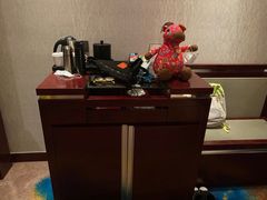 -常州环球恐龙城维景国际大酒店