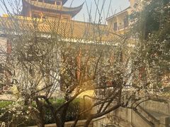 -苏州吴宫泛太平洋酒店