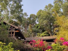 -深圳国际园林花卉博览园