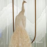 🦚满满的蒂芙尼蓝的孔雀川菜也太浪漫了